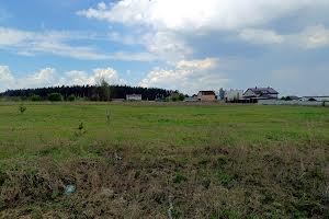 ділянка за адресою с. Михайлівка-Рубежівка, Янтарна