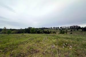 участок по адресу с. Малые Дмитровичи, Вишнева