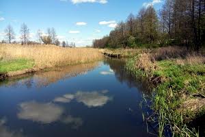 участок по адресу с. Юров, 