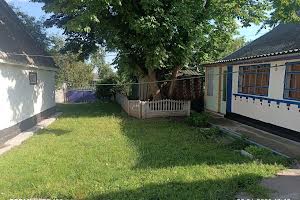 будинок за адресою с. Антонівка, Лесі Українки