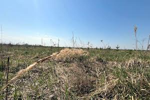 ділянка за адресою с. Михайлівка-Рубежівка, 