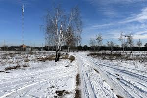 ділянка за адресою с. Лебедівка, Вишгородська, 13