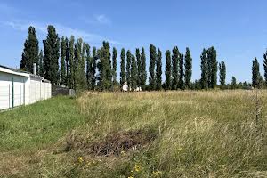 ділянка за адресою с. Білогородка, вчительська, 10