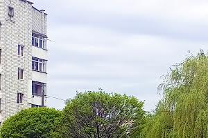 квартира за адресою Червоної Калини просп., 105