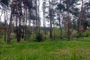 ділянка за адресою СТ Олімп