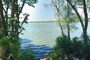ділянка за адресою Моложанська