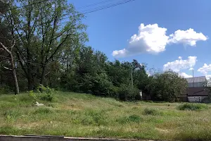 участок по адресу пгт. Гостомель, Садовая ул.