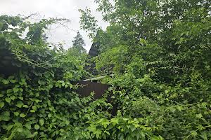 будинок за адресою Дружби вул., 10