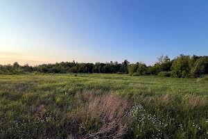 ділянка за адресою с. Дружня, Вербова вул.