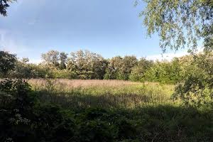 ділянка за адресою с. Хлопків, Шевченко, 6