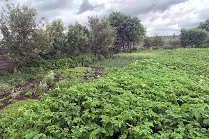 ділянка за адресою Ірпінь, 6-та Лінія вул.