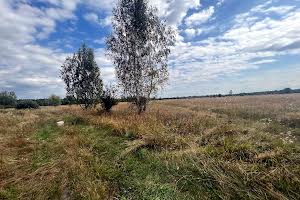 ділянка за адресою с. Козинці, 