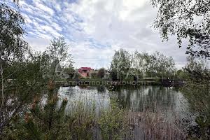 будинок за адресою Центральна вул., 19