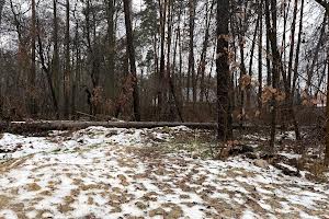 участок по адресу пгт. Ворзель, Котляревського, 53