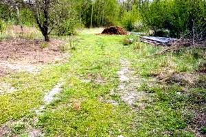 участок по адресу с. Бзов, Леніна, 94