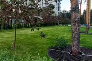 комерційна за адресою Прорізна вул., 1