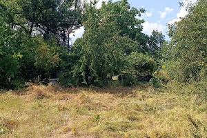 участок по адресу Кармелюка, 18