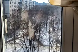 квартира по адресу Академика Павлова ул., 146