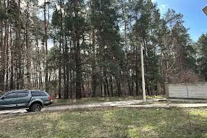 будинок за адресою центральна