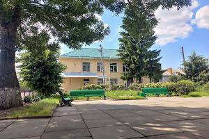 участок по адресу с. Летки, Перемоги площа, 1