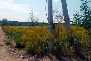 участок по адресу с. Крюковщина, 
