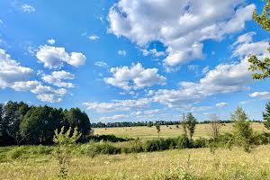 участок по адресу хрещата