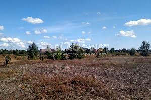 участок по адресу с. Дружня, Чубаря, 89