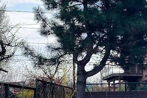 будинок за адресою 17 Садова вул.