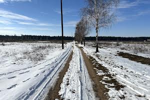 участок по адресу с. Лебедевка, Вишгородська, 13