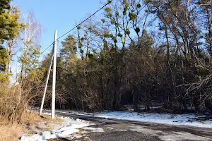 участок по адресу с. Тарасовка, Пушкинская