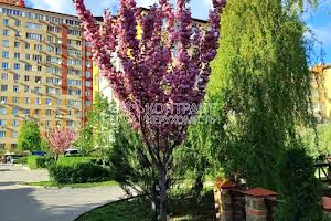 квартира за адресою Новоолександрівська вул., 54а к5