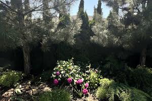 будинок за адресою с. Вишеньки, Гідності вул. (Жертв Революції)