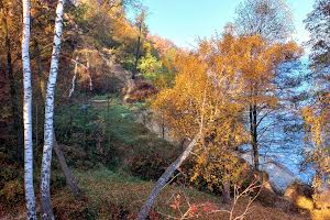 участок по адресу с. Старые петровцы, Лазурна