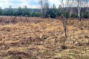 участок по адресу с. Блиставица, Кленова