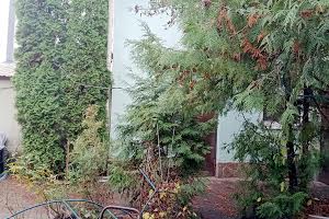 квартира за адресою Тахіатаська вул., 21