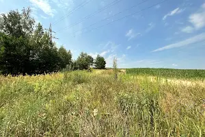 ділянка за адресою с. Забір'я, 