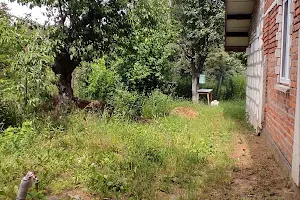 участок по адресу с. Хотяновка, Набережна