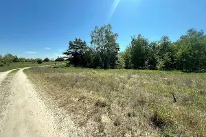 ділянка за адресою с. Неграші, Соборна, 51