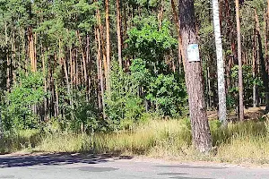 участок по адресу с. Мощун, 