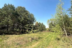 ділянка за адресою с. Михайлівка-Рубежівка, 