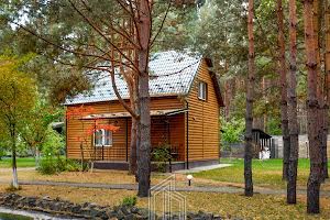 комерційна за адресою с. Ясногородка, Лісова, 15