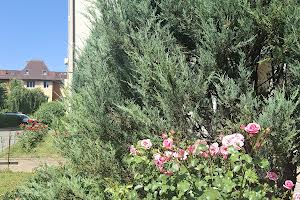 квартира за адресою Новоолександрівська вул., 54а к4