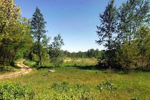 участок по адресу с. Калиновка, 