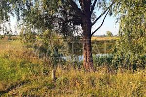 ділянка за адресою смт. Димер, 