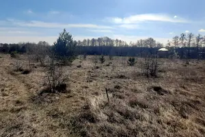 ділянка за адресою Береговий пров. (Горького)