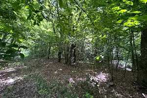 ділянка за адресою Центральна