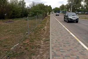 ділянка за адресою с. Гореничі, Столична вул.
