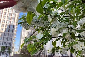 квартира за адресою Михайла Максимовича вул. (Онуфрія Трутенка), 28-Б