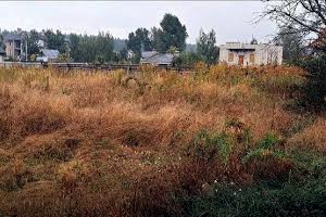 участок по адресу с. Березовка, 