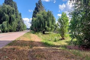 участок по адресу с. Чубинское, Виставкова, 1